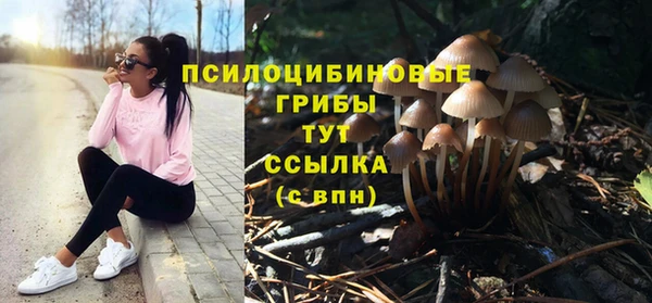 стафф Гусь-Хрустальный