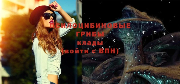 стафф Гусь-Хрустальный