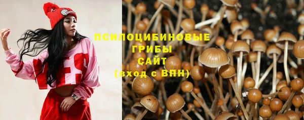 мяу мяу мука Гусиноозёрск