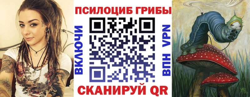 Псилоцибиновые грибы Psilocybine cubensis  Оха 